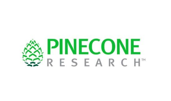 Pinecone research is one way of how to earn money online through surveys 