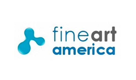 fine art america is one platform to earn money from photography online