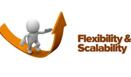 Flexibility & scalability is one advantages of B2C e-commerce